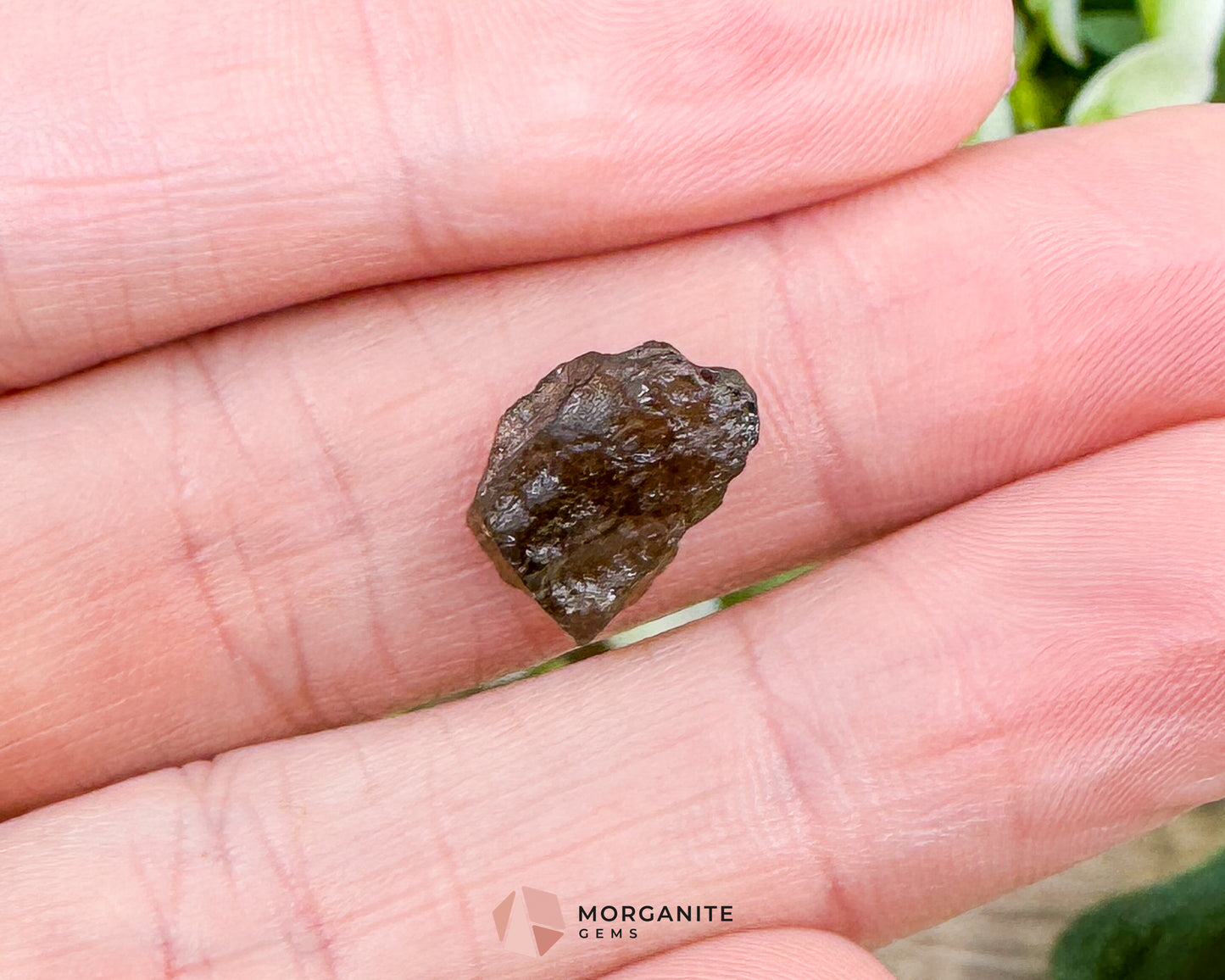 Moldavite Specimen No. 1 | Authentic Czech Tektite for Transformation Protection & Cosmic Energy - Metaphysical Crystals