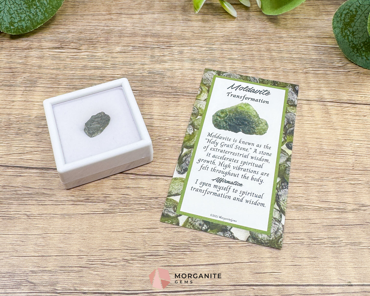Moldavite Specimen No. 1 | Authentic Czech Tektite for Transformation Protection & Cosmic Energy - Metaphysical Crystals