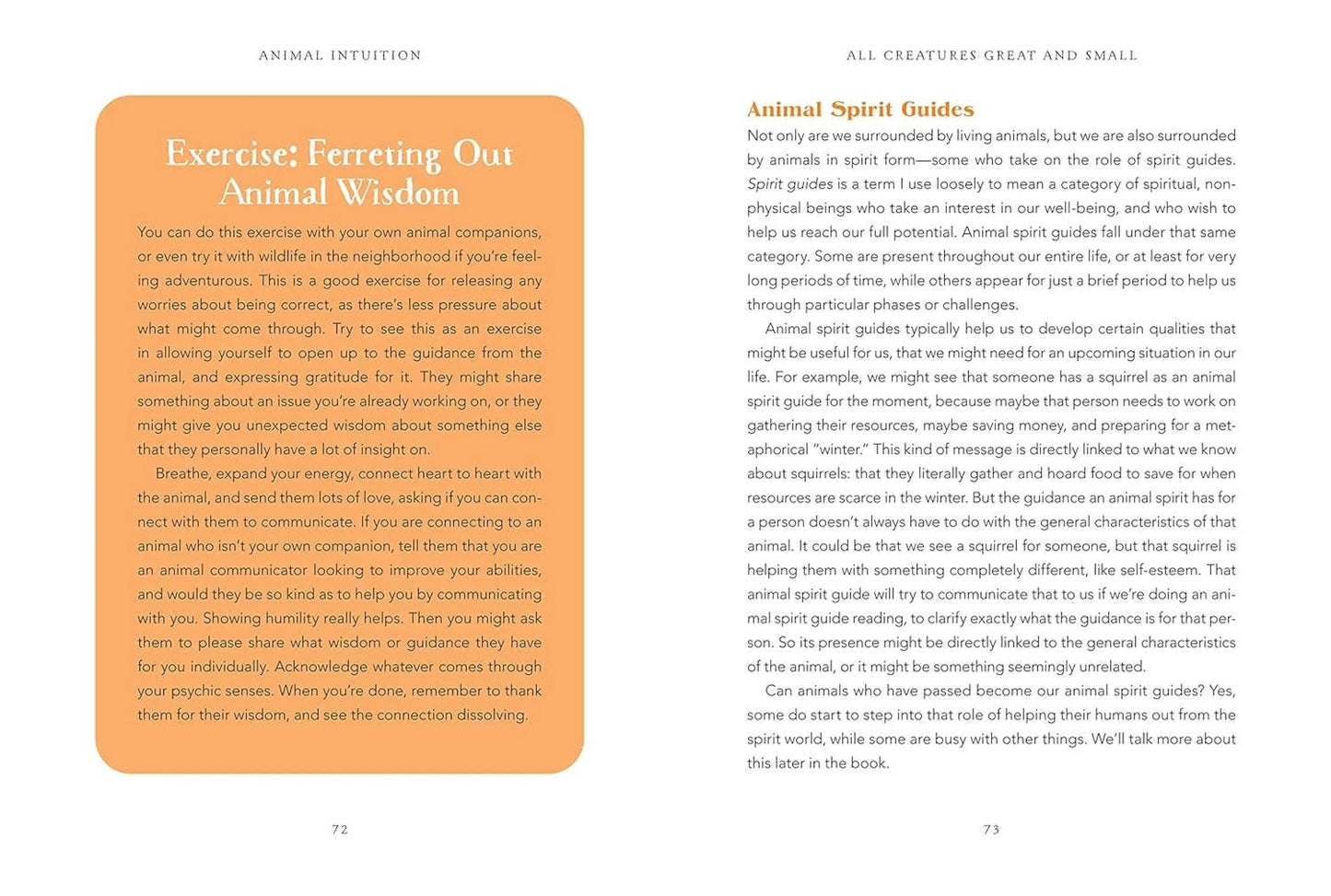 Animal Intuition: Communicating with Pets, Spirits & Energy-Morganite Gems