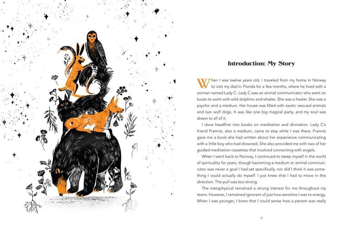 Animal Intuition: Communicating with Pets, Spirits & Energy-Morganite Gems