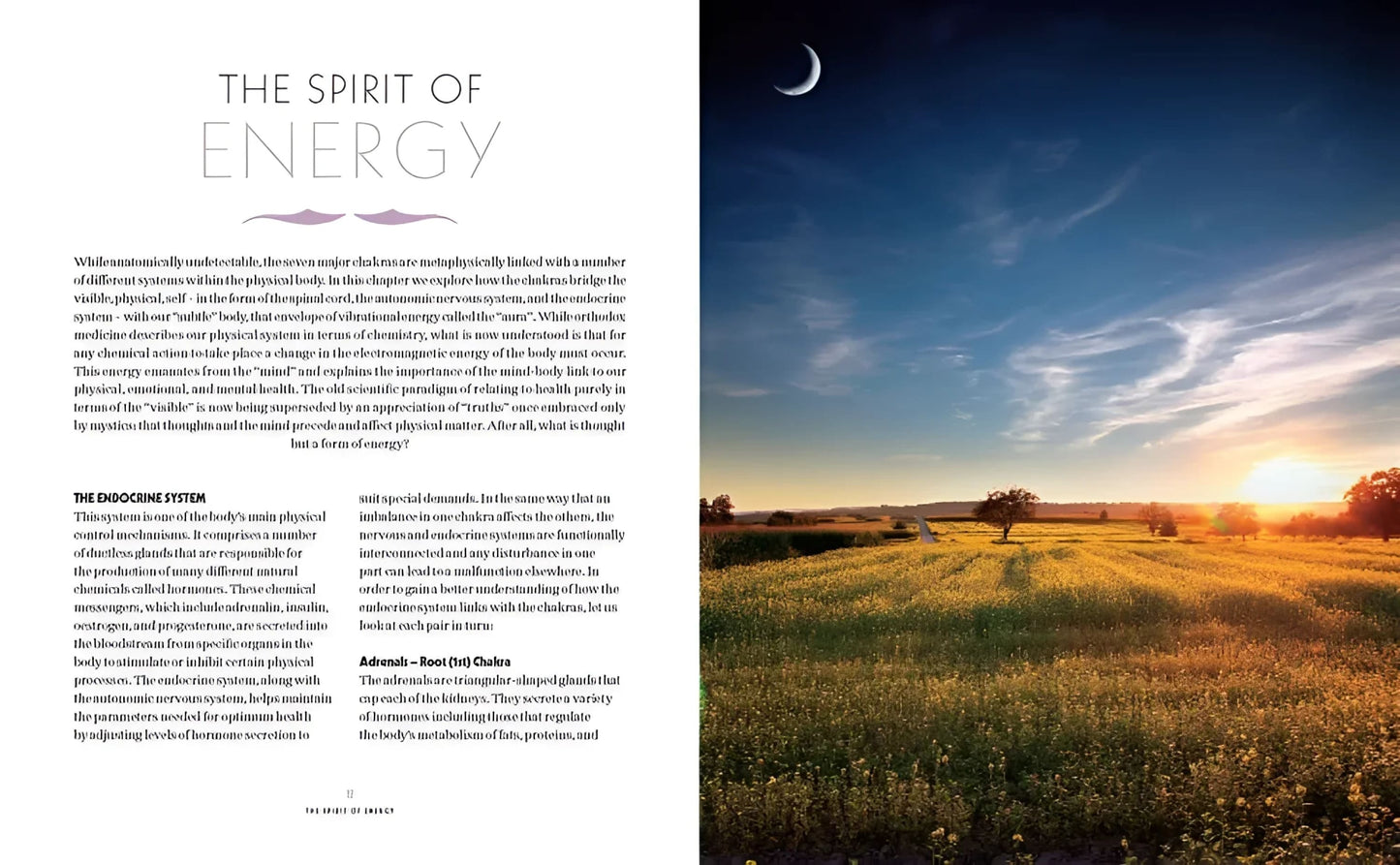 Book of Chakra Healing by Liz Simpson-Morganite Gems