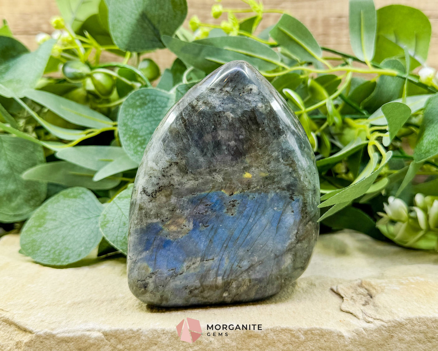 Labradorite Freeform No.5 – 1.7lb Polished Standing Crystal for Intuition Protection & Inner Transformation