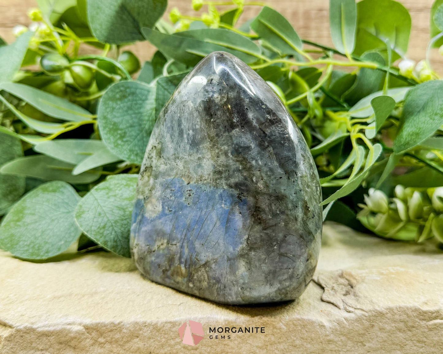 Labradorite Freeform No.5 – 1.7lb Polished Standing Crystal for Intuition Protection & Inner Transformation