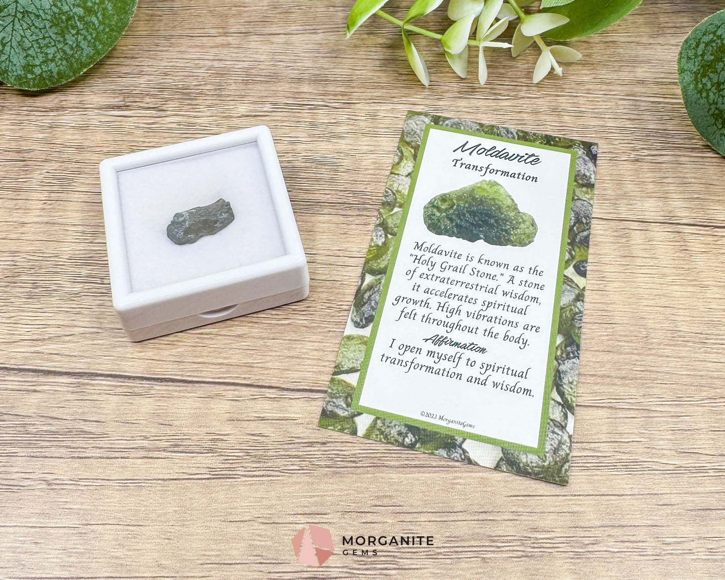 Moldavite Specimen No. 5 | Authentic Czech Tektite for Spiritual Awakening Protection & High-Vibe Transformation