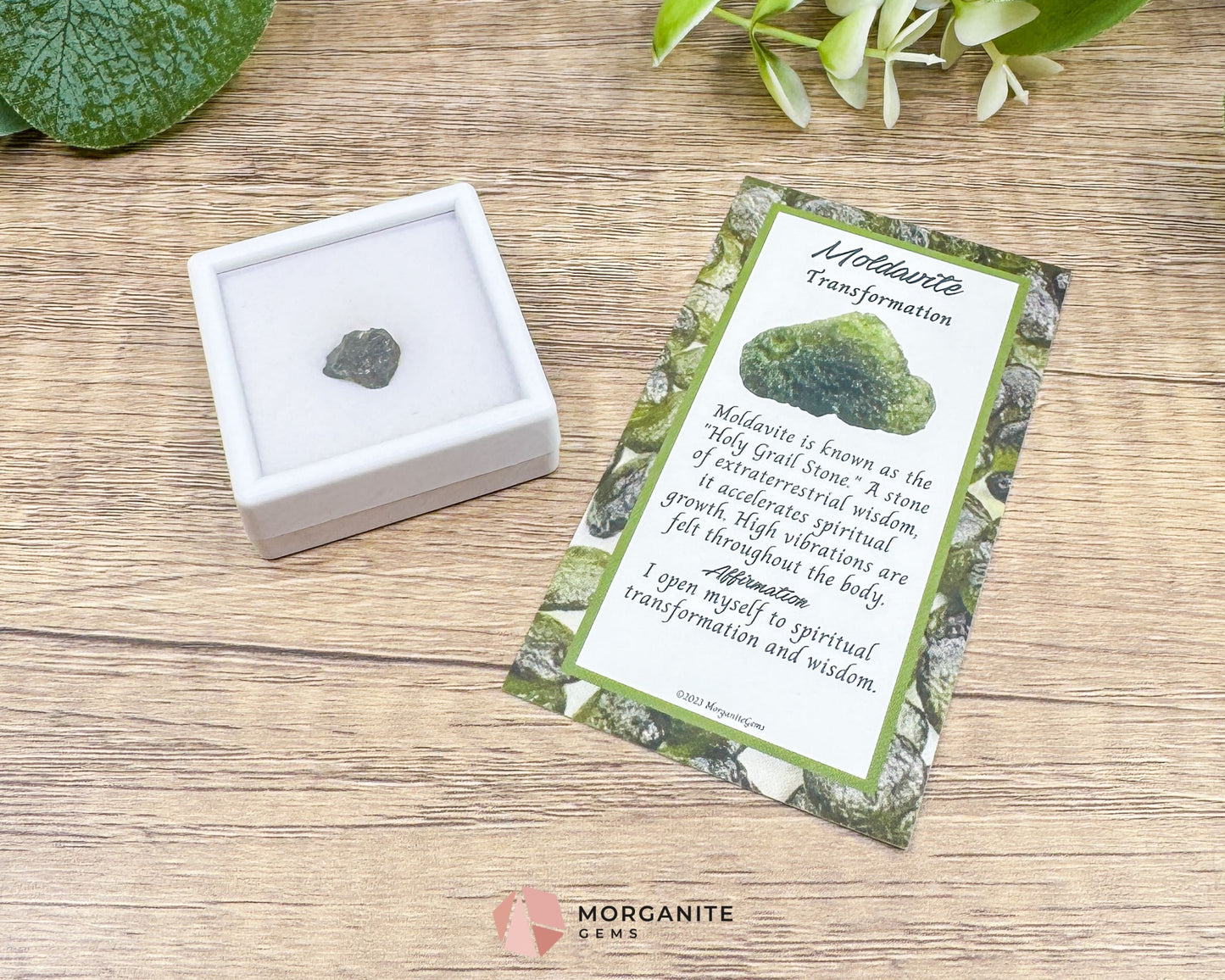 Moldavite Specimen No. 6 | Genuine Czech Tektite for Spiritual Awakening Intuition & Energetic Protection
