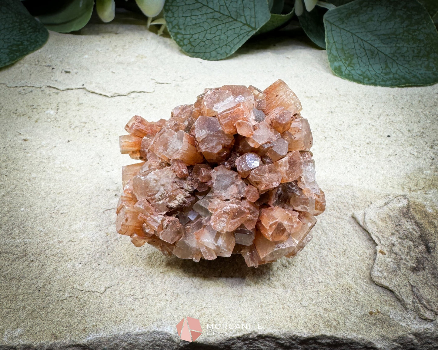 Moroccan Aragonite Star Specimen – 98 g Large Star Cluster - Metaphysical Crystals