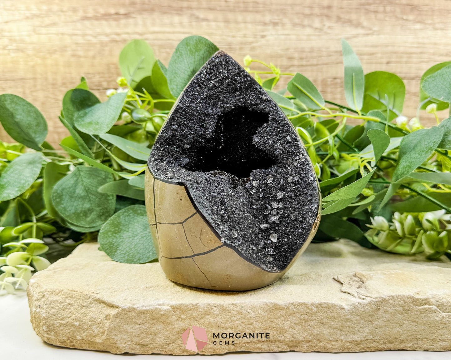 Septarian Dragon Egg Druzy Geode No. 3 – 6″ × 4.5″ × 3″ | 2.84 lb Statement Specimen - Metaphysical Crystals