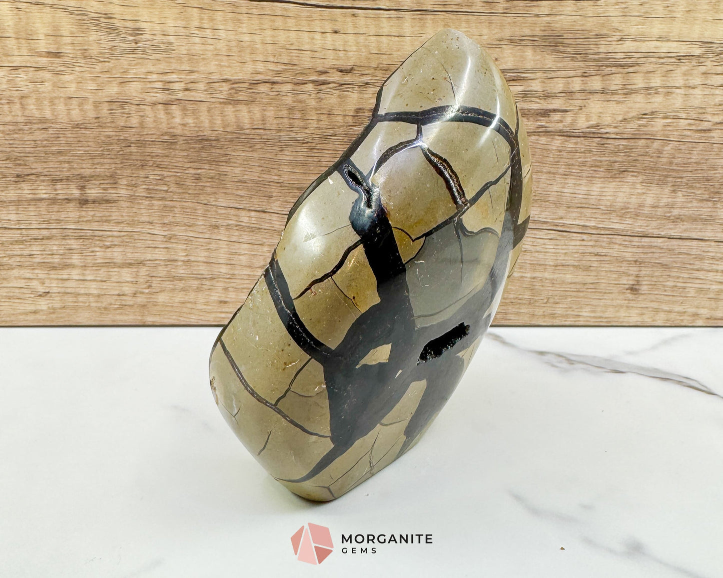 Septarian Dragon Egg Druzy Geode No. 3 – 6″ × 4.5″ × 3″ | 2.84 lb Statement Specimen - Metaphysical Crystals