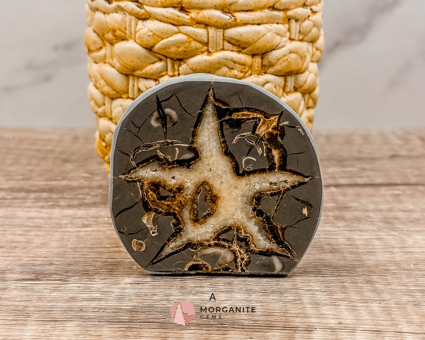Septarian Nodule Polished End-Cuts – Unique Fossil Crystal for Grounding, Protection & Creativity-Morganite Gems