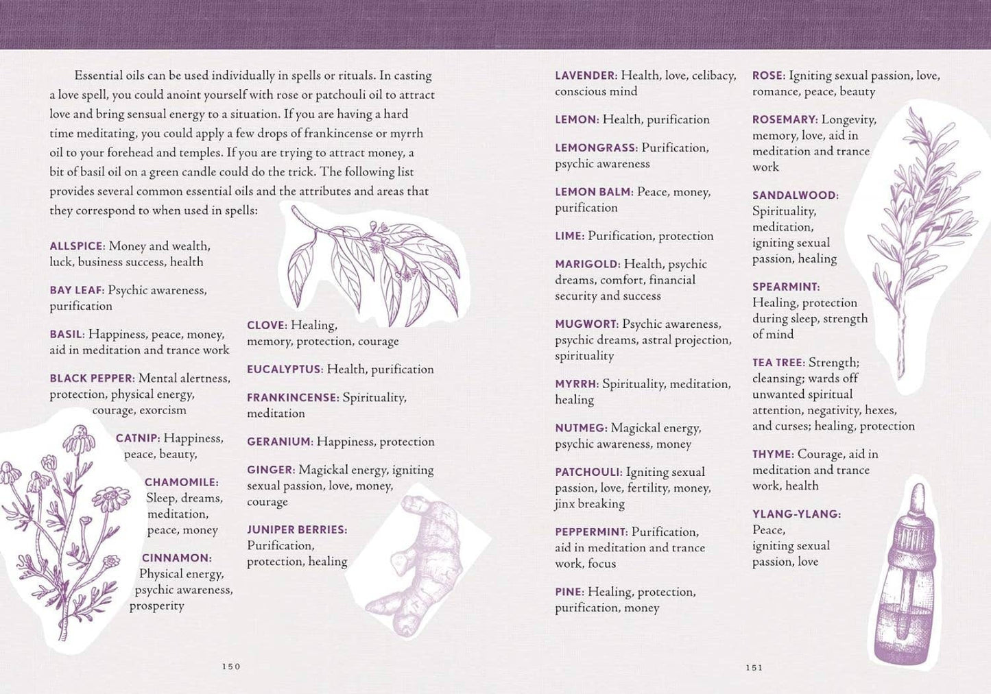 The Good Witch's Perpetual Planner by Shawn Robbins-Morganite Gems