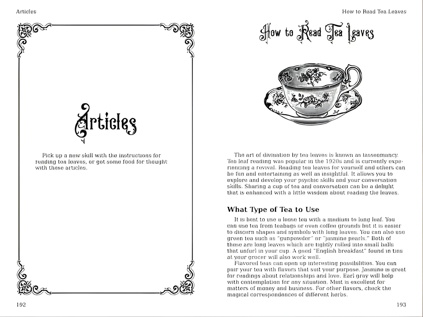 The Practical Witch's Almanac 2023: Infinite Spells (26) (Good Life)-Morganite Gems