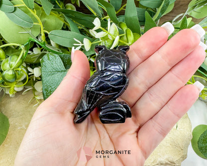 2’’ Hand-Carved Owl Figurine – Choose White Soapstone or Black Onyx | Symbol of Wisdom & Protection - Metaphysical