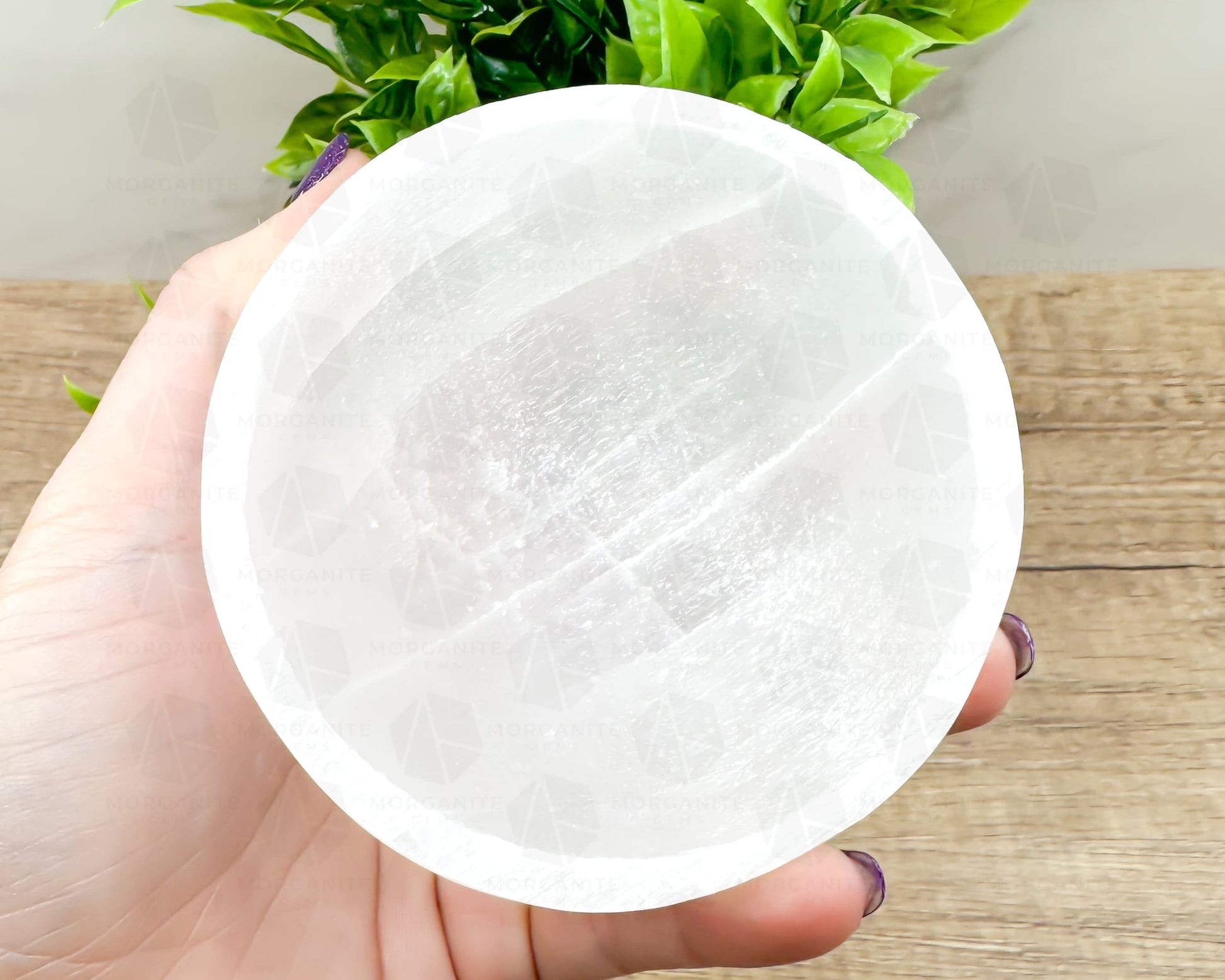 3.5-Inch White Selenite Bowl – Handcrafted Crystal Holder for Cleansing & Energy Work-Morganite Gems