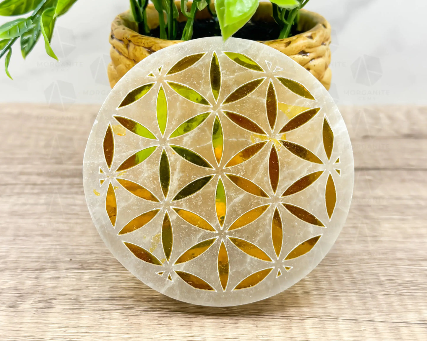 4-Inch Gold Flower of Life Selenite Plate – Hand-Carved Crystal Charging Disc for Energy Cleansing-Morganite Gems