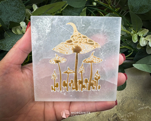 4-Inch Square Mushroom Selenite Plate – Hand-Carved Crystal Charging Disc for Energy Cleansing - Metaphysical Crystals