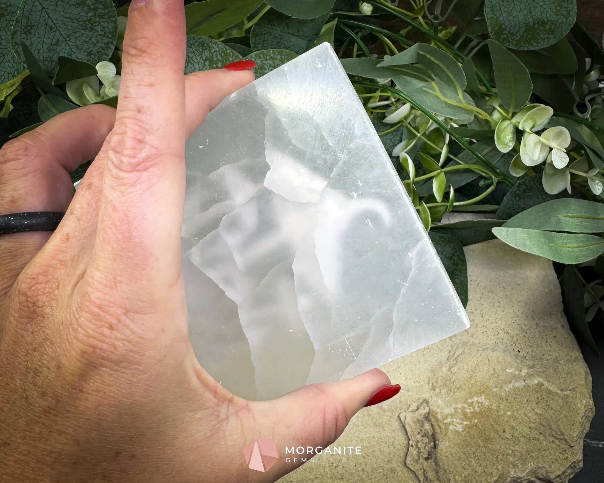 4-Inch Square Mushroom Selenite Plate – Hand-Carved Crystal Charging Disc for Energy Cleansing - Metaphysical Crystals