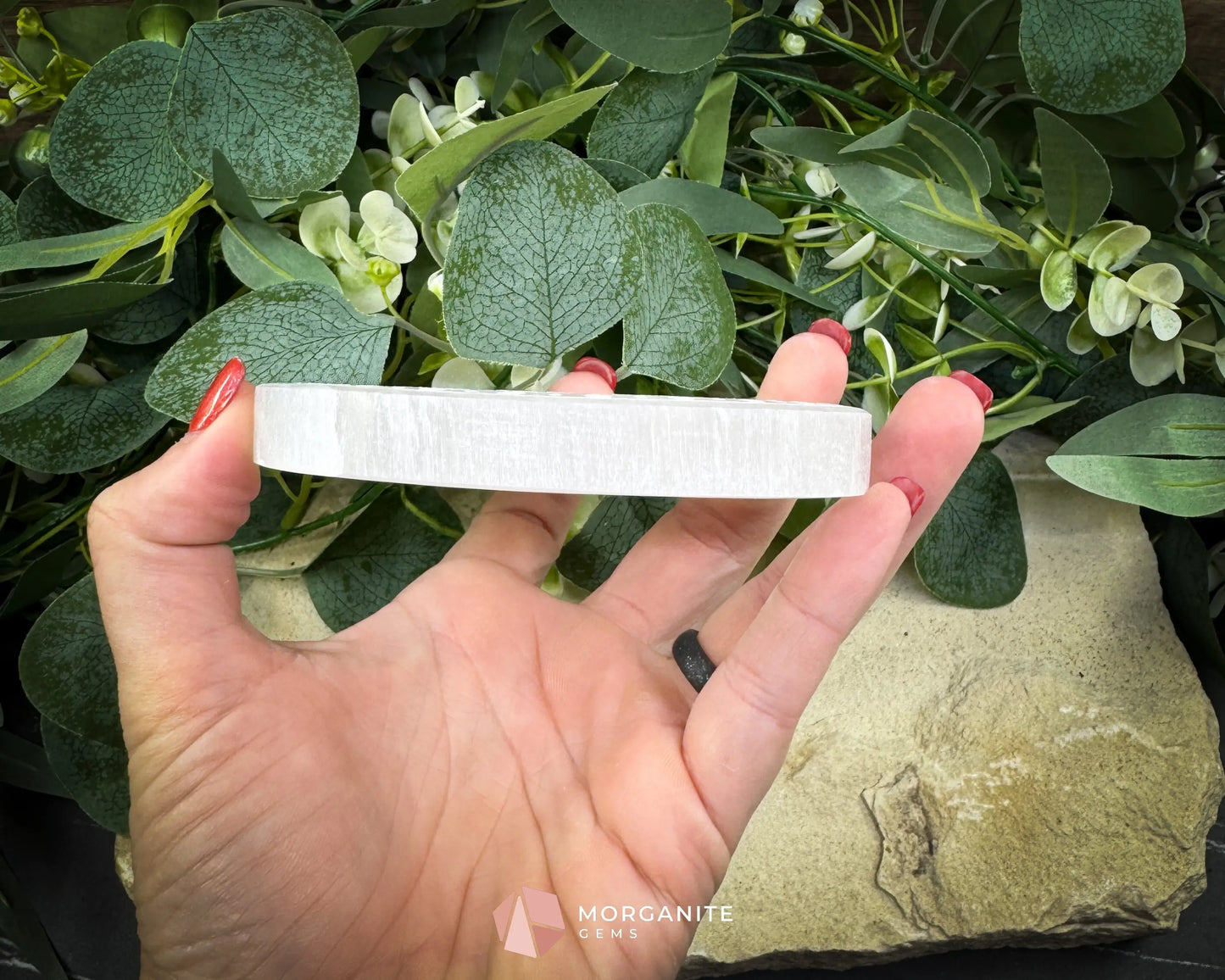 4″ Round Zodiac Selenite Plate – Astrological Signs Engraved Charging & Décor Disk - Metaphysical Crystals