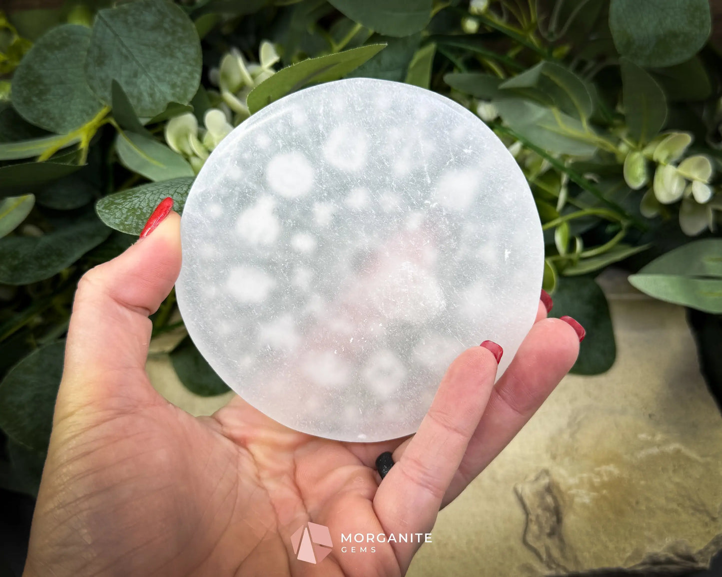 4″ Round Zodiac Selenite Plate – Astrological Signs Engraved Charging & Décor Disk - Metaphysical Crystals