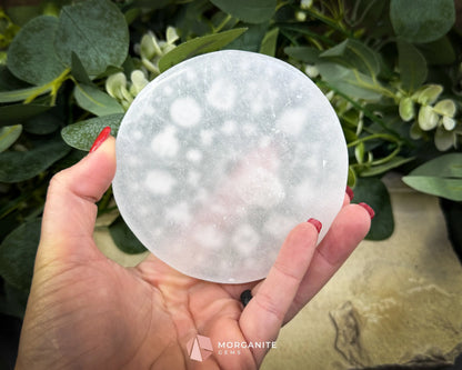 4″ Round Zodiac Selenite Plate – Astrological Signs Engraved Charging & Décor Disk - Metaphysical Crystals
