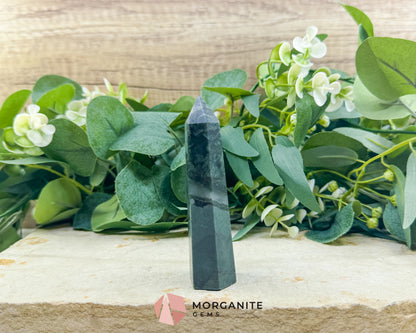 Bloodstone Tower Point 4 Inch Crystal Obelisk for Grounding Courage Vitality & Strength