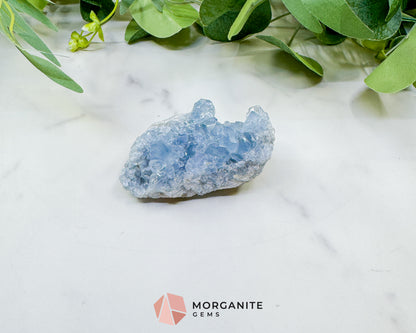 Raw Celestite Cluster No. 12 – Sky Blue Geode Specimen for High Vibration & Inner Peace