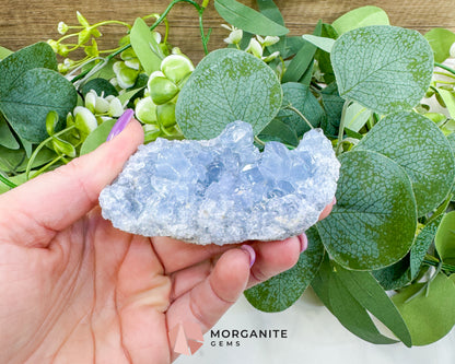 Raw Celestite Cluster No. 12 – Sky Blue Geode Specimen for High Vibration & Inner Peace