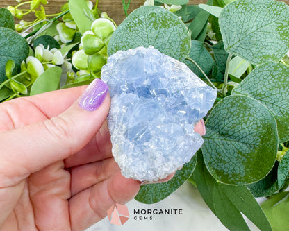 Raw Celestite Cluster No. 12 – Sky Blue Geode Specimen for High Vibration & Inner Peace