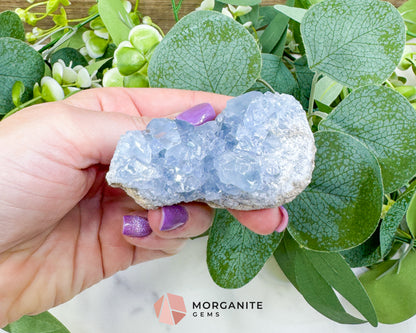 Raw Celestite Cluster No. 12 – Sky Blue Geode Specimen for High Vibration & Inner Peace