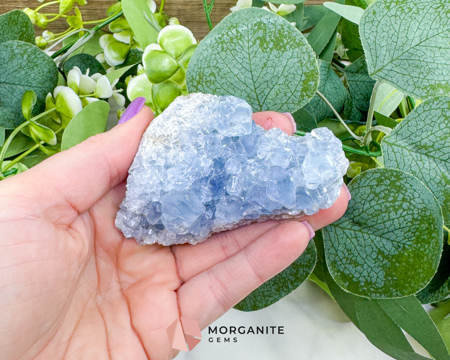 Raw Celestite Clusters – Sky Blue Geode Specimens for High Vibration, Meditation, & Peaceful Sleep (Choice Selection)