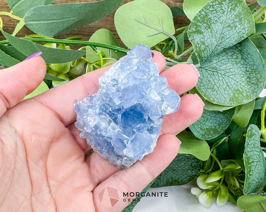 Raw Celestite Cluster No. 1 – Sky Blue Geode Specimen for High Vibration & Inner Peace