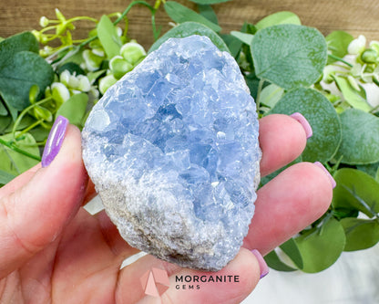 Raw Celestite Cluster No. 11 – Sky Blue Geode Specimen for High Vibration & Inner Peace