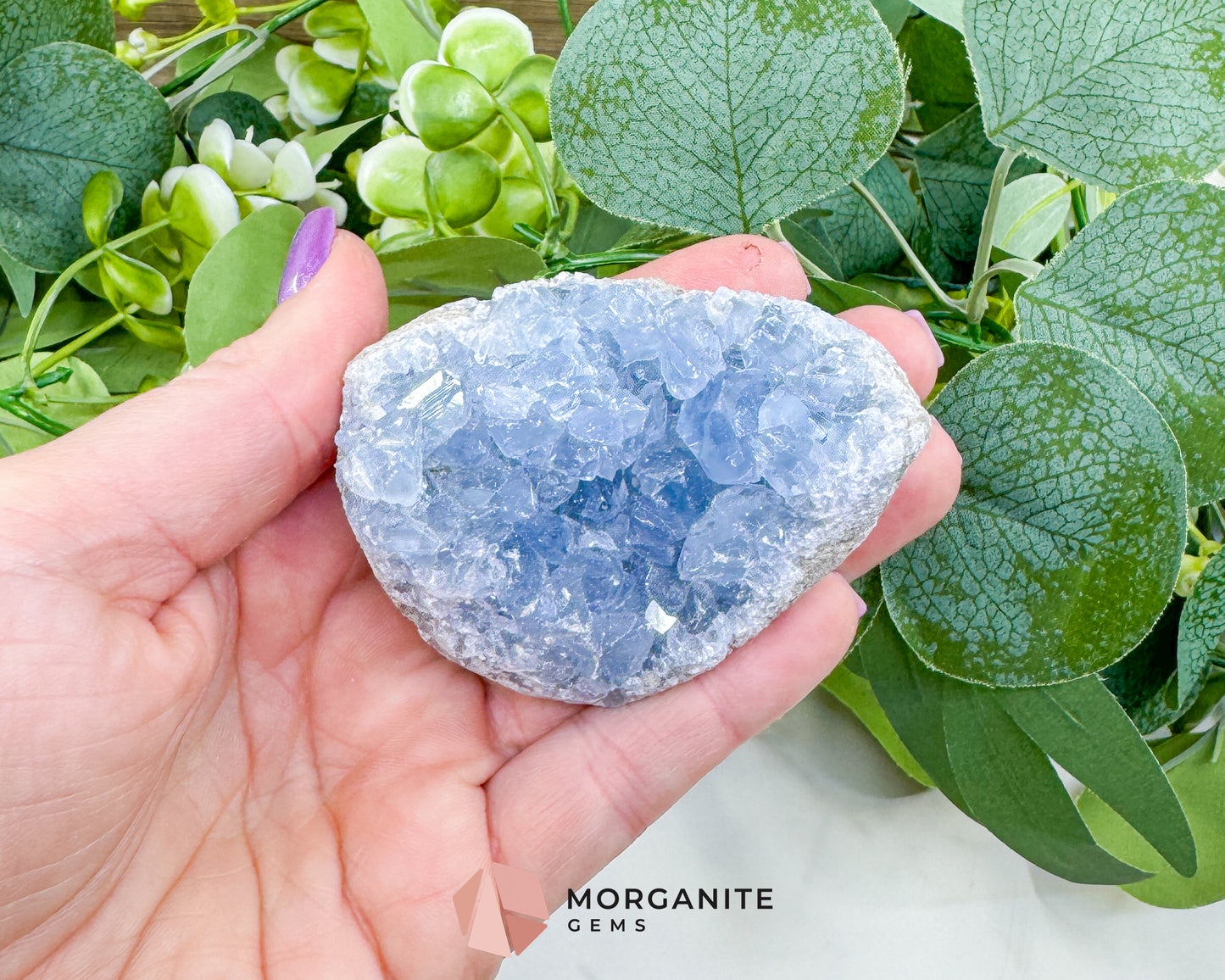 Raw Celestite Clusters – Sky Blue Geode Specimens for High Vibration, Meditation, & Peaceful Sleep (Choice Selection)