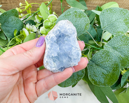 Raw Celestite Cluster No. 13 – Sky Blue Geode Specimen for High Vibration & Inner Peace