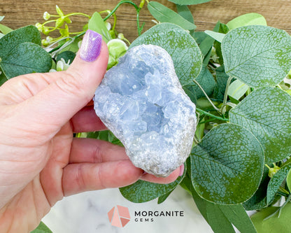 Raw Celestite Cluster No. 13 – Sky Blue Geode Specimen for High Vibration & Inner Peace