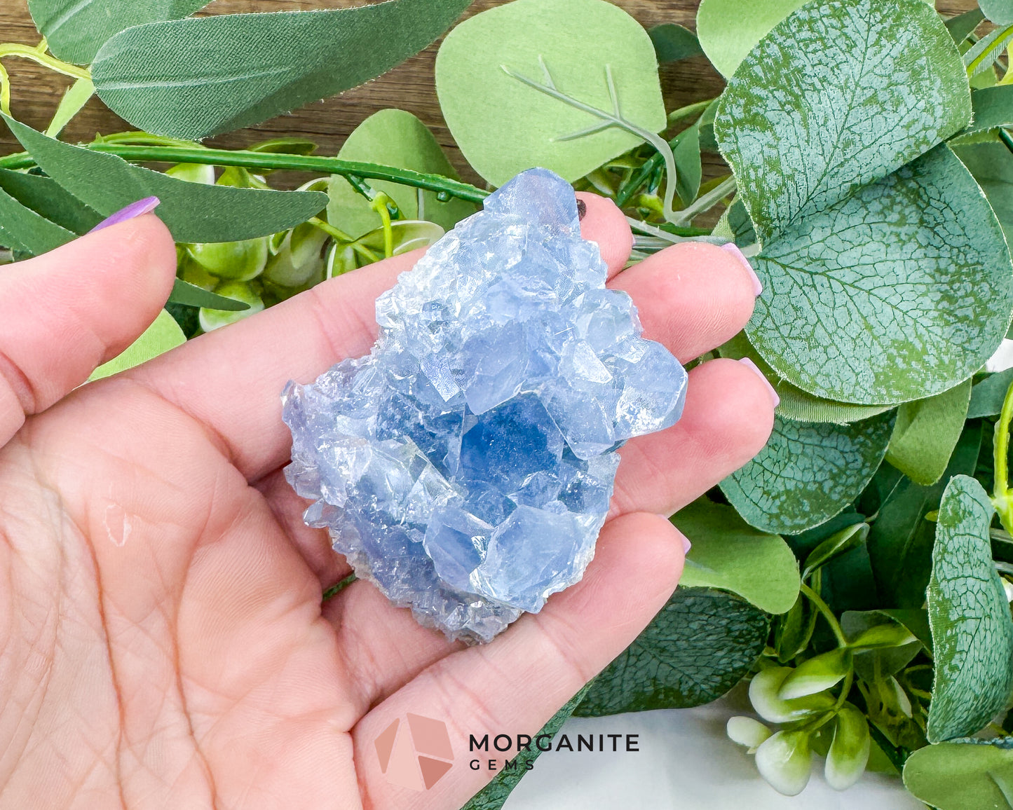 Raw Celestite Clusters – Sky Blue Geode Specimens for High Vibration, Meditation, & Peaceful Sleep (Choice Selection)