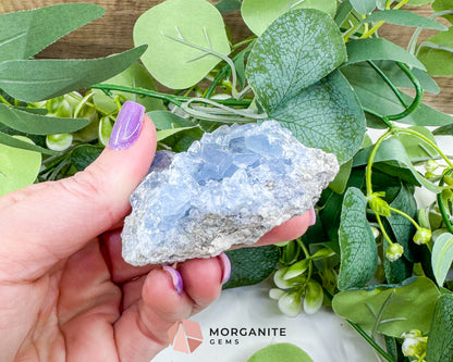 Raw Celestite Cluster No. 3 – Sky Blue Geode Specimen for High Vibration & Inner Peace