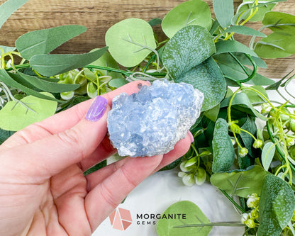 Raw Celestite Cluster No. 3 – Sky Blue Geode Specimen for High Vibration & Inner Peace