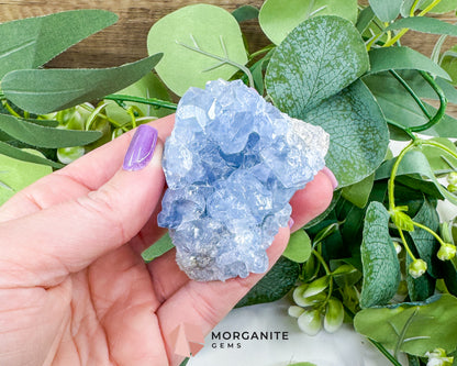 Raw Celestite Cluster No. 3 – Sky Blue Geode Specimen for High Vibration & Inner Peace