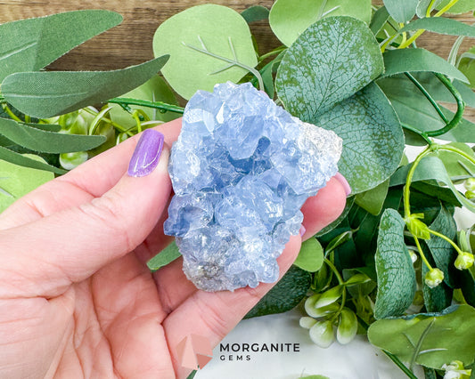 Raw Celestite Cluster No. 3 – Sky Blue Geode Specimen for High Vibration & Inner Peace