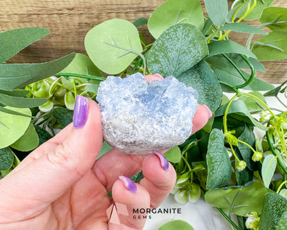 Raw Celestite Cluster No. 4 – Sky Blue Geode Specimen for High Vibration & Inner Peace