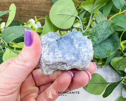 Raw Celestite Cluster No. 5 – Sky Blue Geode Specimen for High Vibration & Inner Peace