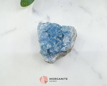 Raw Celestite Cluster No. 5 – Sky Blue Geode Specimen for High Vibration & Inner Peace