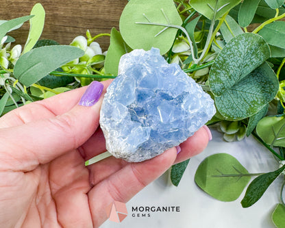 Raw Celestite Cluster No. 5 – Sky Blue Geode Specimen for High Vibration & Inner Peace