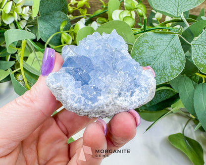 Raw Celestite Cluster No. 6 – Sky Blue Geode Specimen for High Vibration & Inner Peace