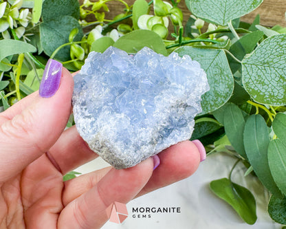 Raw Celestite Cluster No. 6 – Sky Blue Geode Specimen for High Vibration & Inner Peace