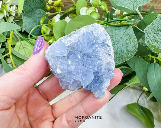 Raw Celestite Cluster No. 6 – Sky Blue Geode Specimen for High Vibration & Inner Peace