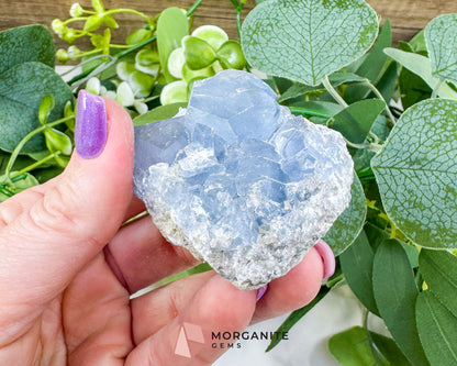 Raw Celestite Cluster No. 7 – Sky Blue Geode Specimen for High Vibration & Inner Peace