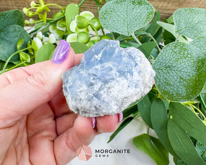Raw Celestite Cluster No. 7 – Sky Blue Geode Specimen for High Vibration & Inner Peace