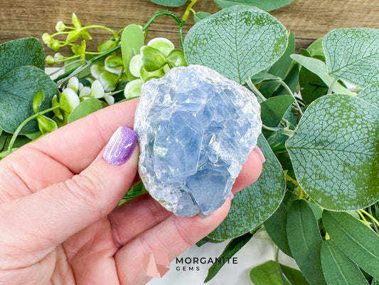 Raw Celestite Cluster No. 7 – Sky Blue Geode Specimen for High Vibration & Inner Peace