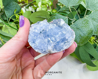 Raw Celestite Cluster No. 8 – Sky Blue Geode Specimen for High Vibration & Inner Peace
